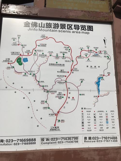 金佛山攻略最新-金佛山旅行攻略