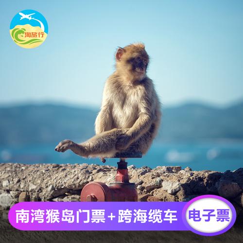 陵水南湾猴岛门票多少钱-陵水南湾猴岛门票多少钱一张