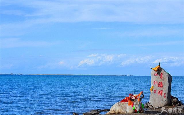 青海湖一日游_青海湖一日游旅行团报价