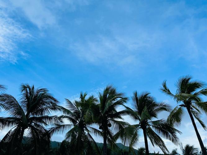 海南打卡旅游景点_海南打卡地