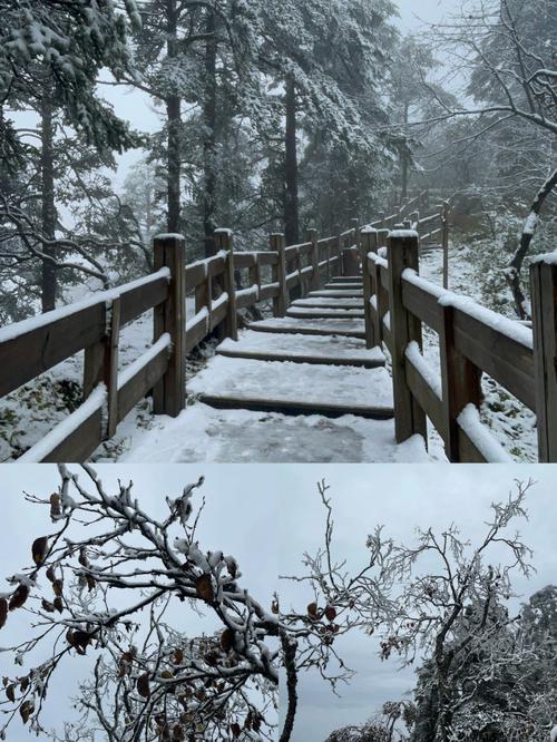 西岭雪山现在有雪吗_西岭雪山现在有雪吗2020年10月